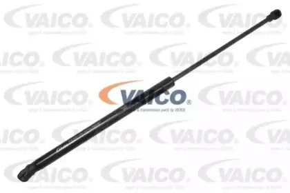 vaico-v100919