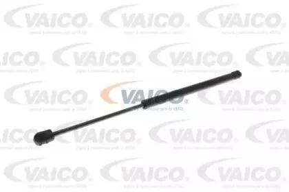 vaico-v101036