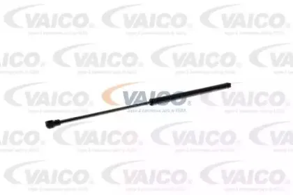 vaico-v101037