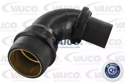 V10-2526 VAICO Шланг, вентиляция картера