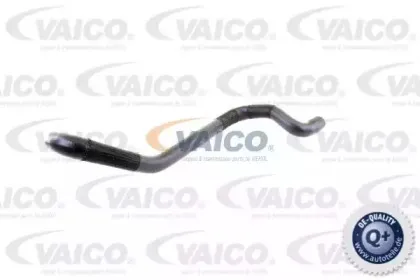 V10-2794 VAICO Шланг радиатора
