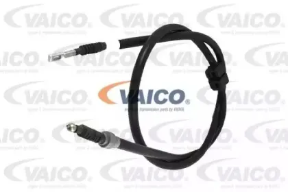 vaico-v1030052