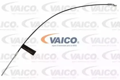 vaico-v1030090