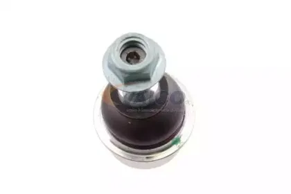 vaico-v103119