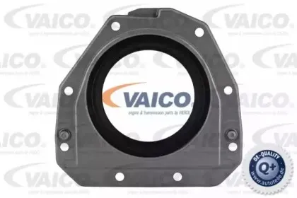V10-3685 VAICO Уплотняющее кольцо, коленчатый вал