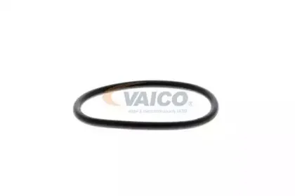 vaico-v1050001