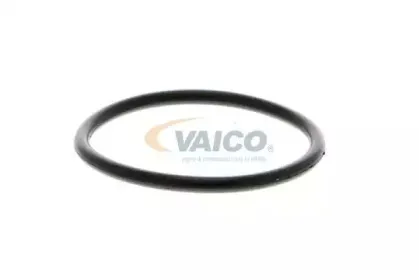 vaico-v1050014