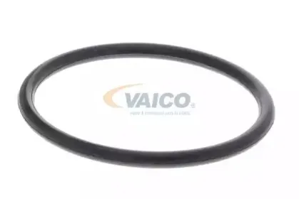 vaico-v1050052