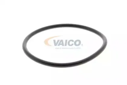 vaico-v1050056