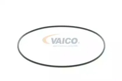 vaico-v1050079