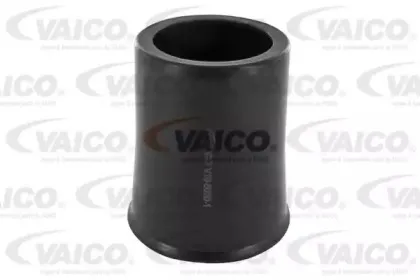 vaico-v1060201
