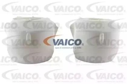 vaico-v106098