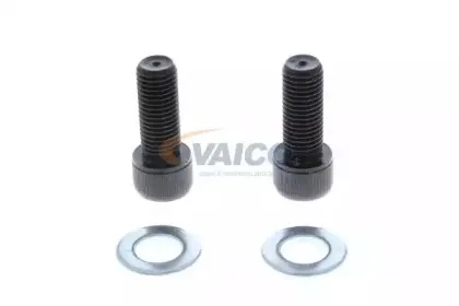 vaico-v1071851