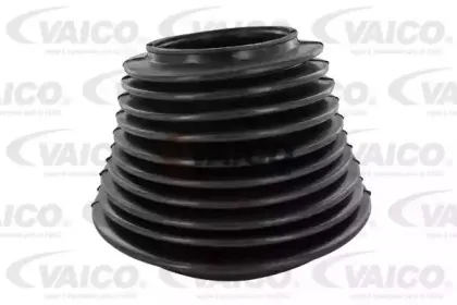 vaico-v1072001