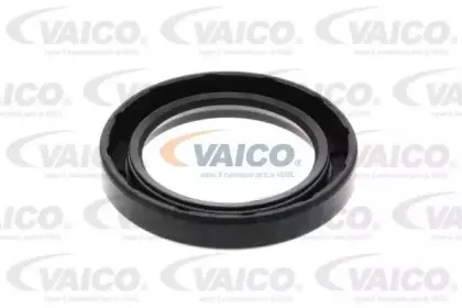 vaico-v200020