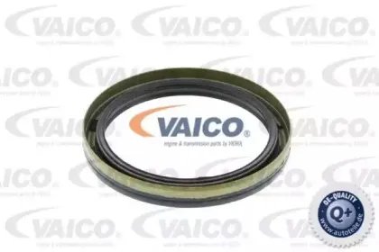 vaico-v200021