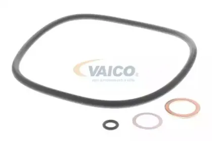 vaico-v200049