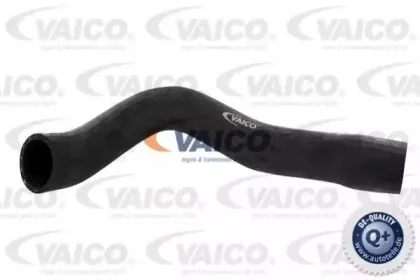 vaico-v200148