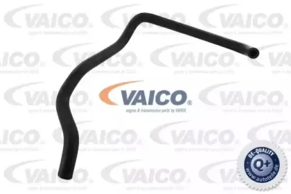 V20-0149 VAICO Шланг радиатора