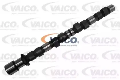 vaico-v200173