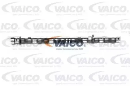 vaico-v200191