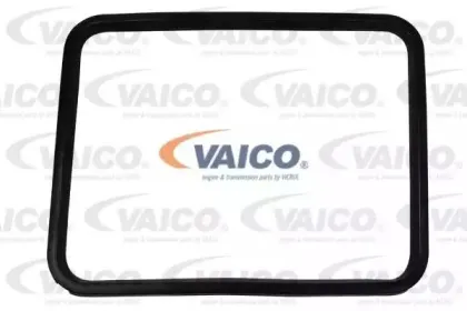vaico-v200307