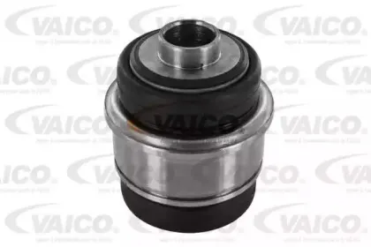 vaico-v200310
