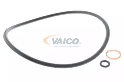 vaico-v200621