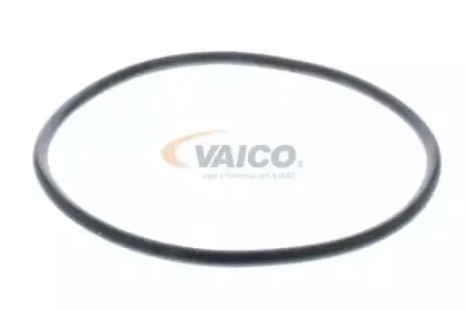 vaico-v200716