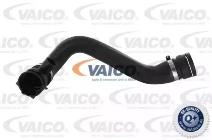 V20-0865 VAICO Шланг радиатора