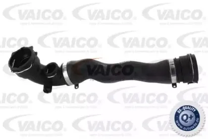 V20-0867 VAICO Шланг радиатора