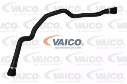 V20-0899 VAICO Шланг радиатора