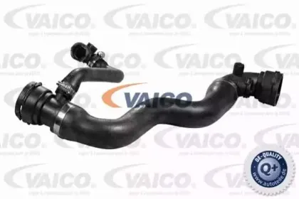 vaico-v200908