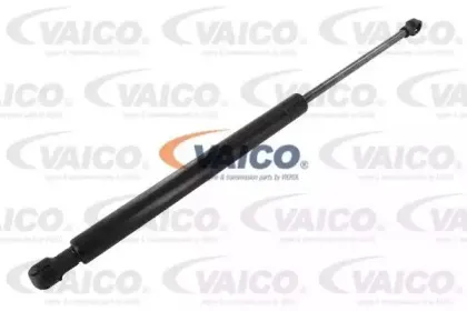 vaico-v200984