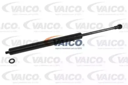 vaico-v201004
