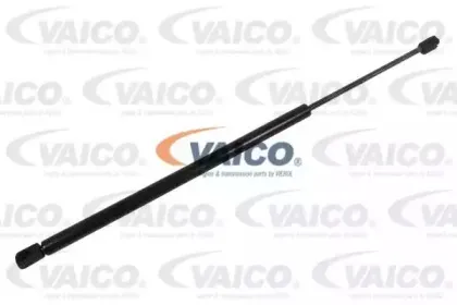 vaico-v201006