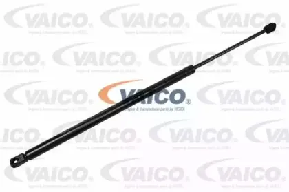 vaico-v201008