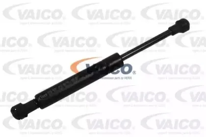 vaico-v201010