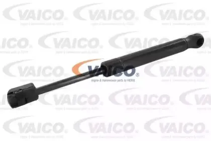 vaico-v201013