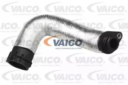 V20-1261 VAICO Шланг радиатора
