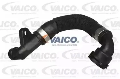 V20-1269 VAICO Шланг радиатора