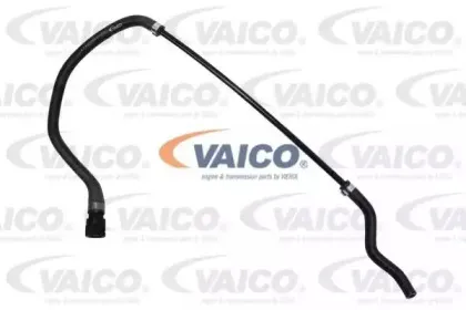 V20-1312 VAICO Шланг радиатора