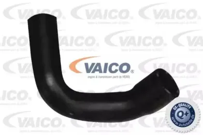 V20-1348 VAICO Шланг радиатора