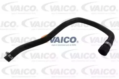 V20-1350 VAICO Шланг радиатора
