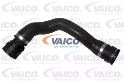 V20-1460 VAICO Шланг радиатора