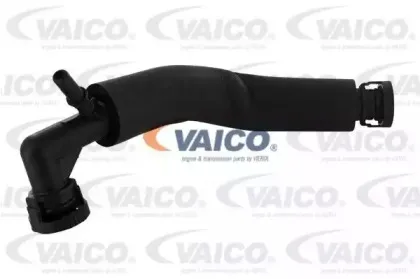 V20-1563 VAICO Шланг, вентиляция картера