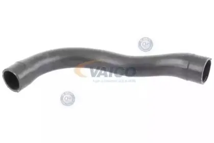 V20-1750 VAICO Шланг радиатора