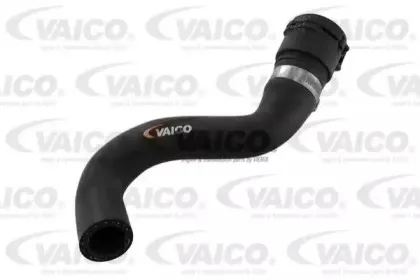 V20-1771 VAICO Шланг радиатора