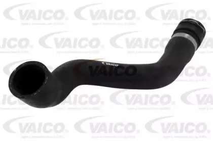 V20-1774 VAICO Шланг радиатора