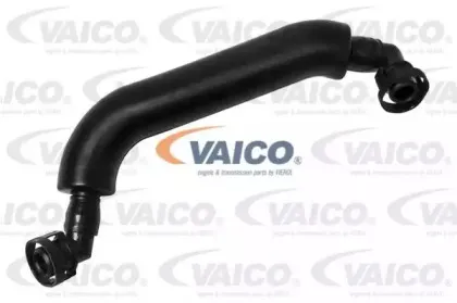 V20-1794 VAICO Шланг, вентиляция картера